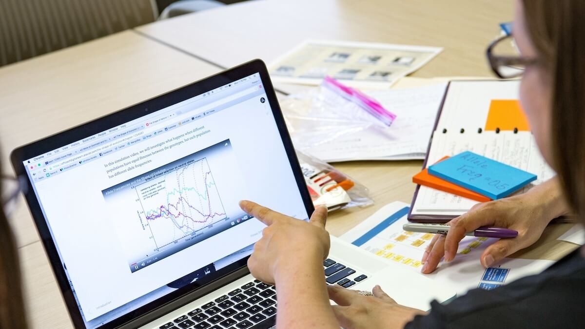 a person working at a laptop points toward a graph on the screen