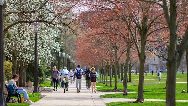 People walk along a sidewalk beneath blooming trees on a sunny spring day on the Notre Dame campus. One person rides a bike.