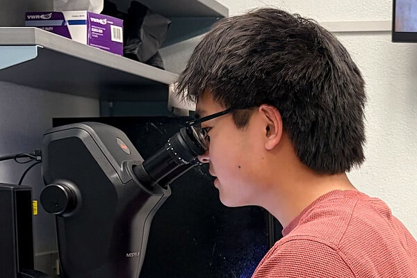 A student looks into the eyepiece of a microscope